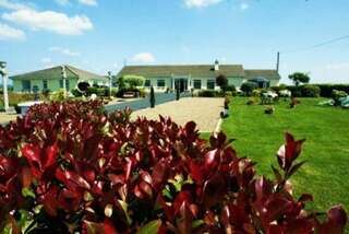 Отели типа «постель и завтрак» Bunratty Castle Mews B&B Бунратти-1